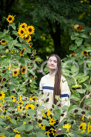 KPP_3337