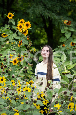 KPP_3336