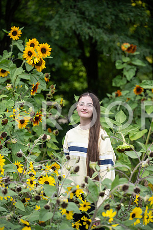 KPP_3340