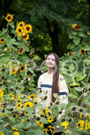 KPP_3338