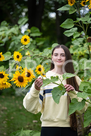 KPP_3341