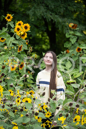 KPP_3339