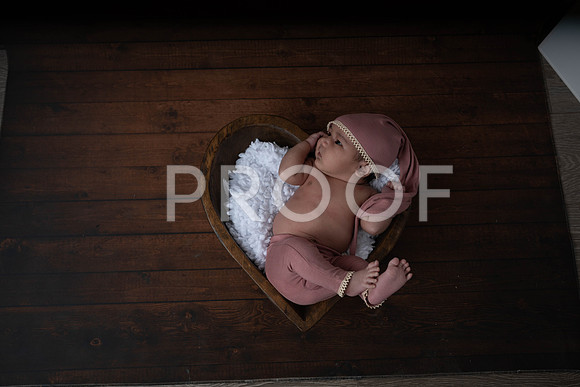 KPP_5181