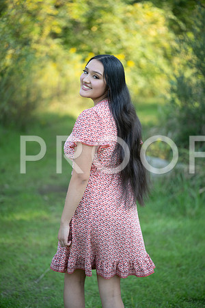 KPP_5335
