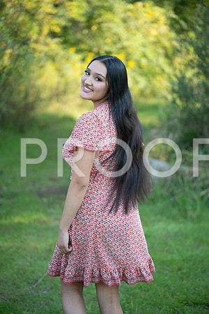 KPP_5334