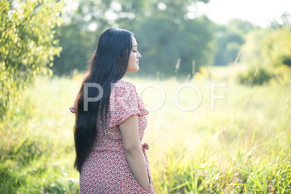 KPP_5341