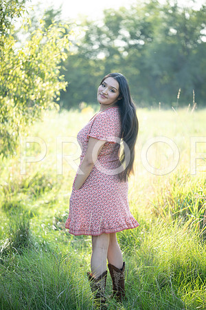 KPP_5343