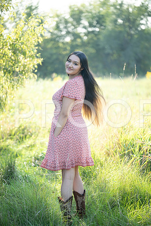 KPP_5344