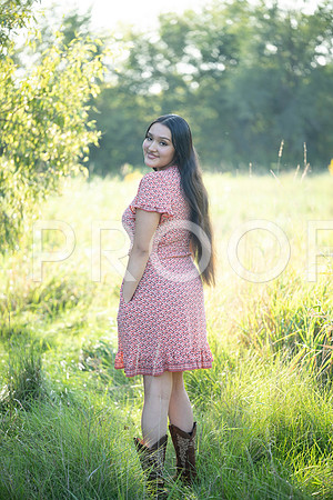 KPP_5347