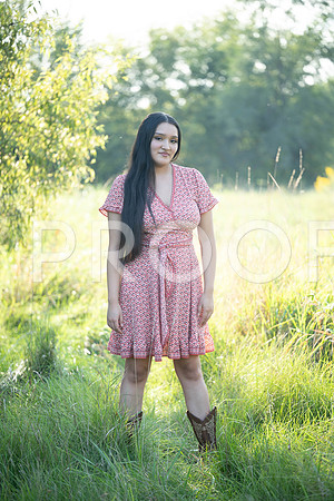KPP_5356