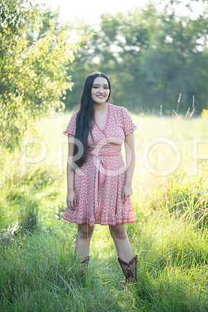 KPP_5367