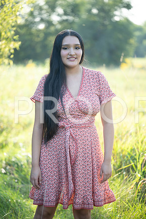 KPP_5371