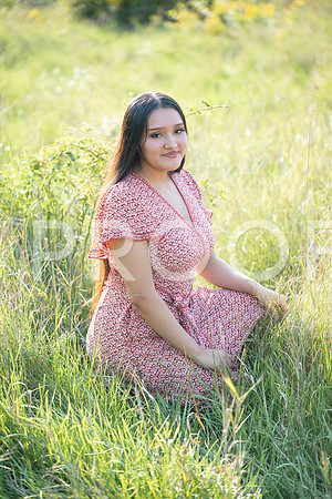 KPP_5385