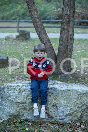 KPP_4137