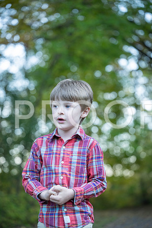 KPP_4239