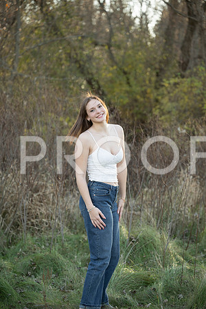 KPP_6045