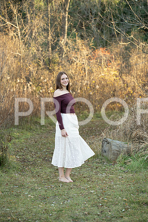KPP_6078