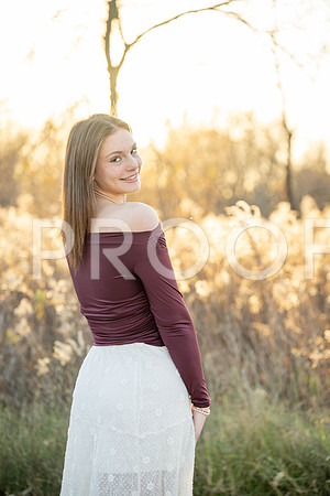 KPP_6172