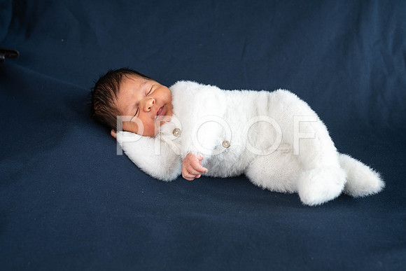 KPP_1682