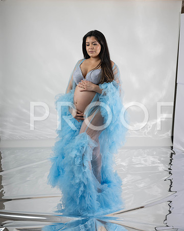 KPP_3447