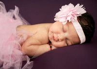_KPP8334-Edit