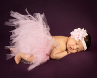 _KPP8337-Edit
