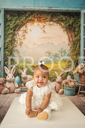 _KPP9135