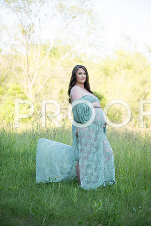 _KPP6119