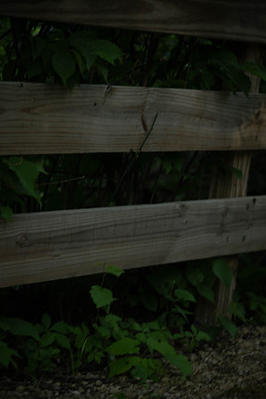 _KPP6827
