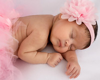 _KPP7517-3-Edit