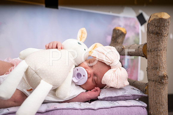 _KPP9563