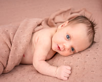 _KPP9518-Edit