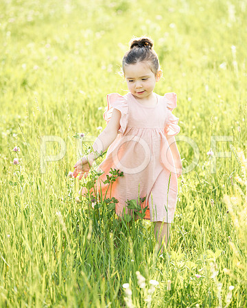 _KPP0764