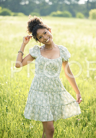 _KPP0785