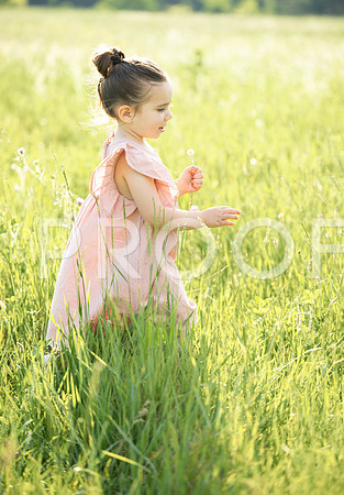_KPP0797