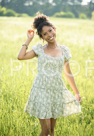 _KPP0788