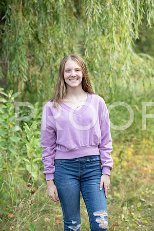 _KPP3090