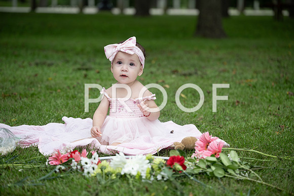 KPP_0470