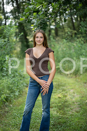 _KPP4254