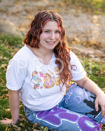 _KPP7385