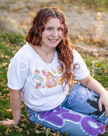 _KPP7384