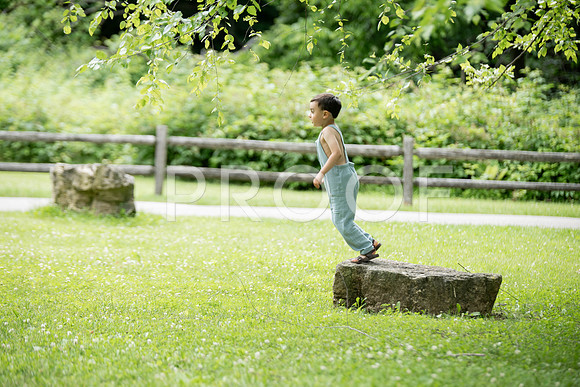 KPP_3250
