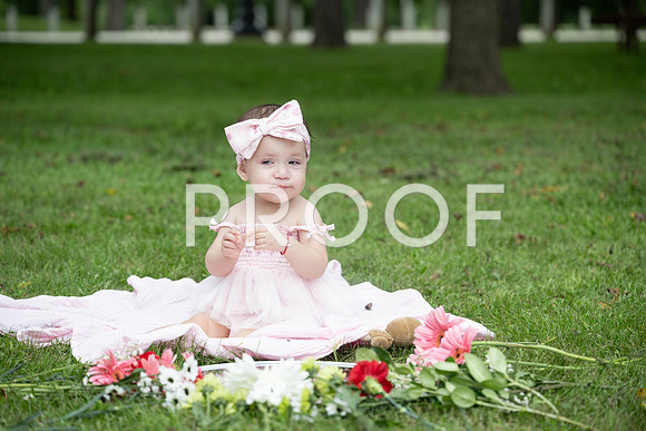 KPP_0462