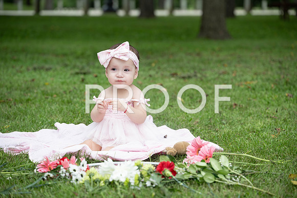 KPP_0463