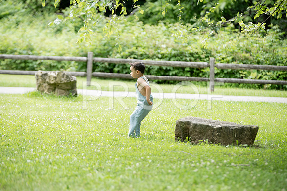 KPP_3254