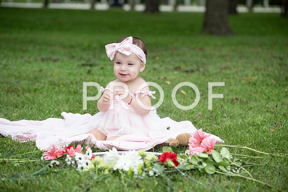 KPP_0460