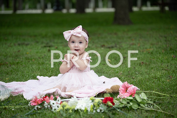 KPP_0481