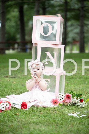 KPP_0537