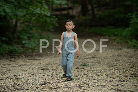 KPP_3357