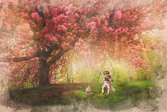 Pink Cherry